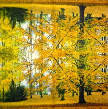 001 Pflanzen - 3 lagig - Molca